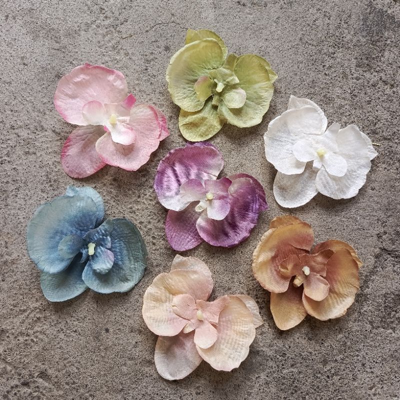 angrek seri B angrek bulan bunga mahar angrek sutra