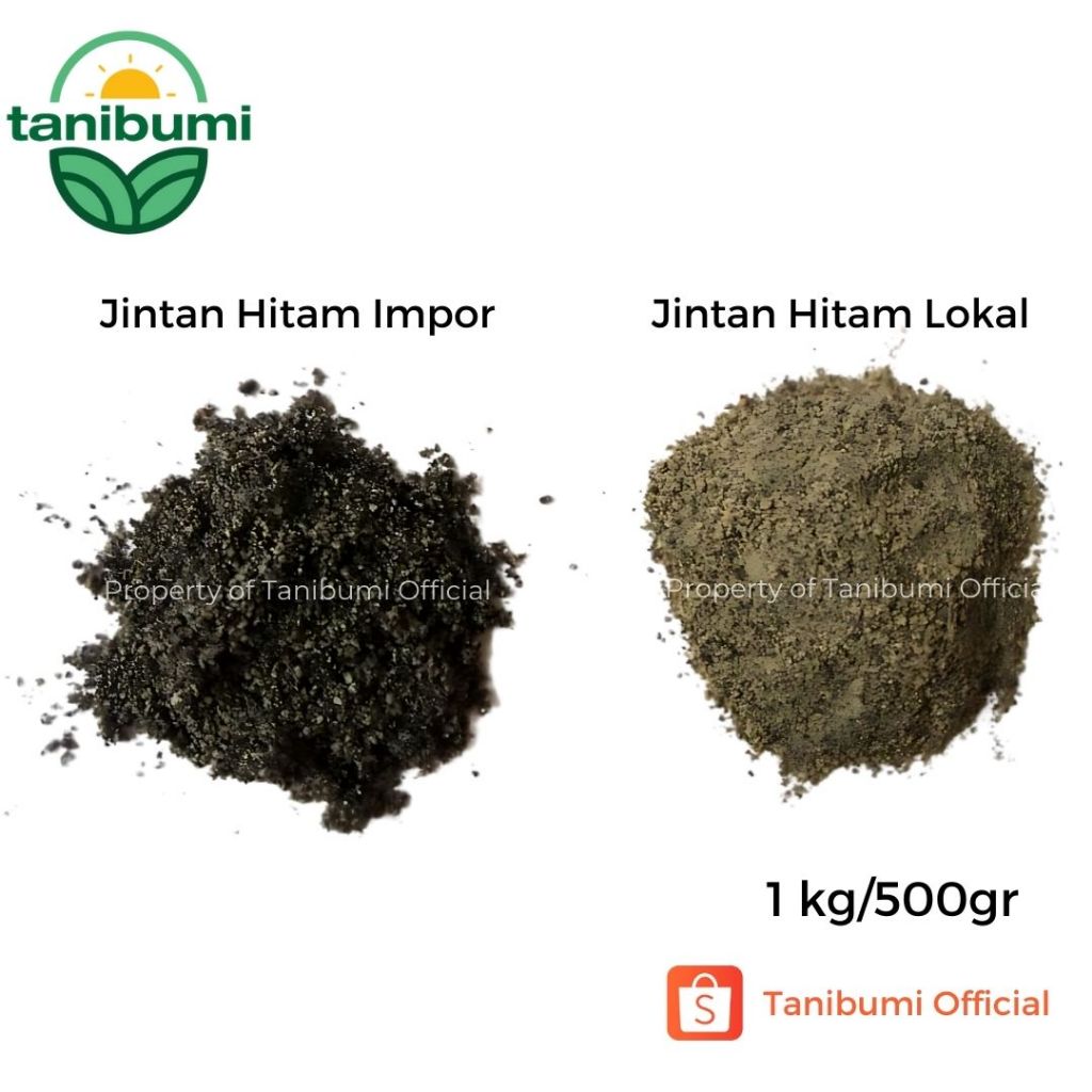 

500g / 1kg | Termurah Bubuk Jintan Hitam Lokal Murni | Habbatussauda Serbuk