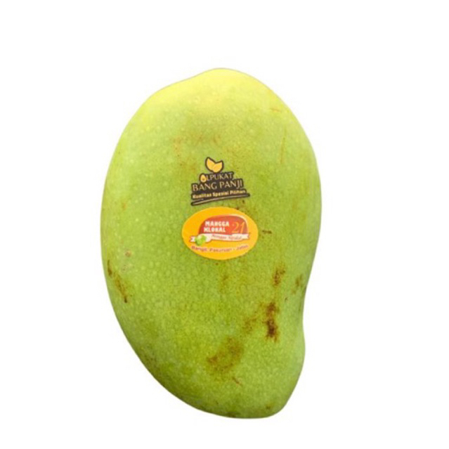 

Alpukat bang panji-Mangga Alpukat1kg