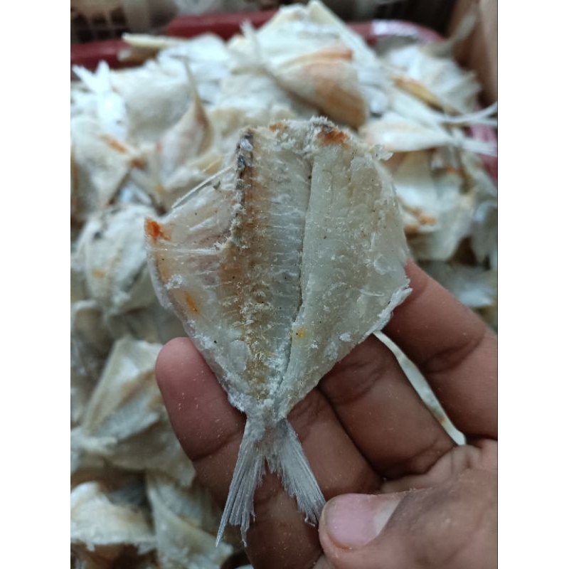 

IKANASIN KAPASAN BELAH , IKANASIN AROMA . KAPASASAN BELAH SEMI ASIN. 1000gr.