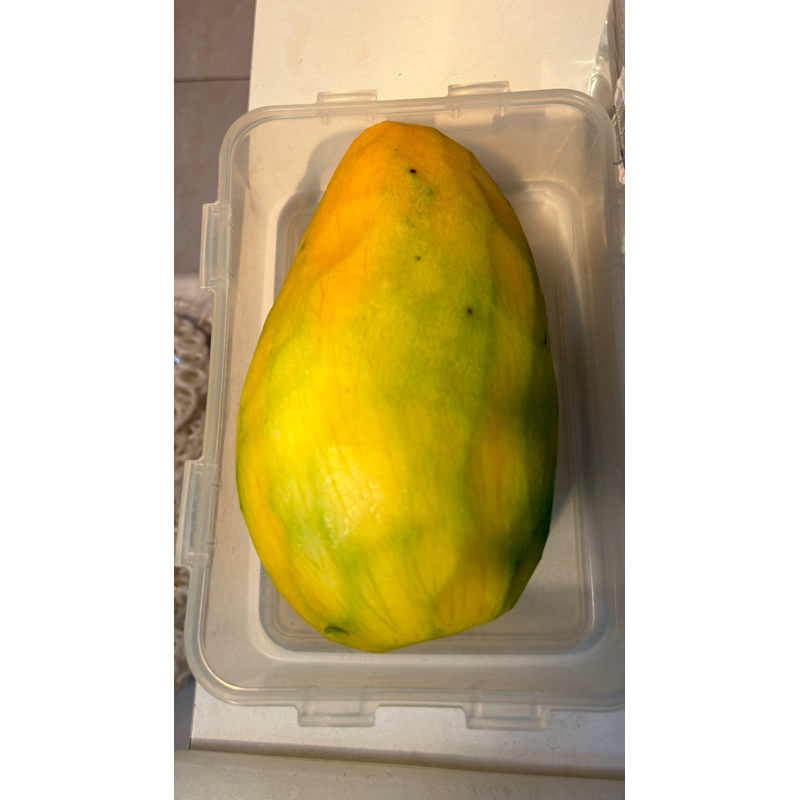 

mangga segar mengkal 10kg
