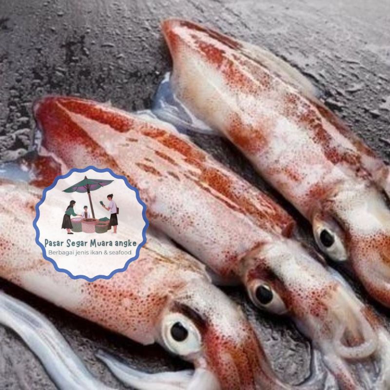 

Cumi Kondom segar 1 kg