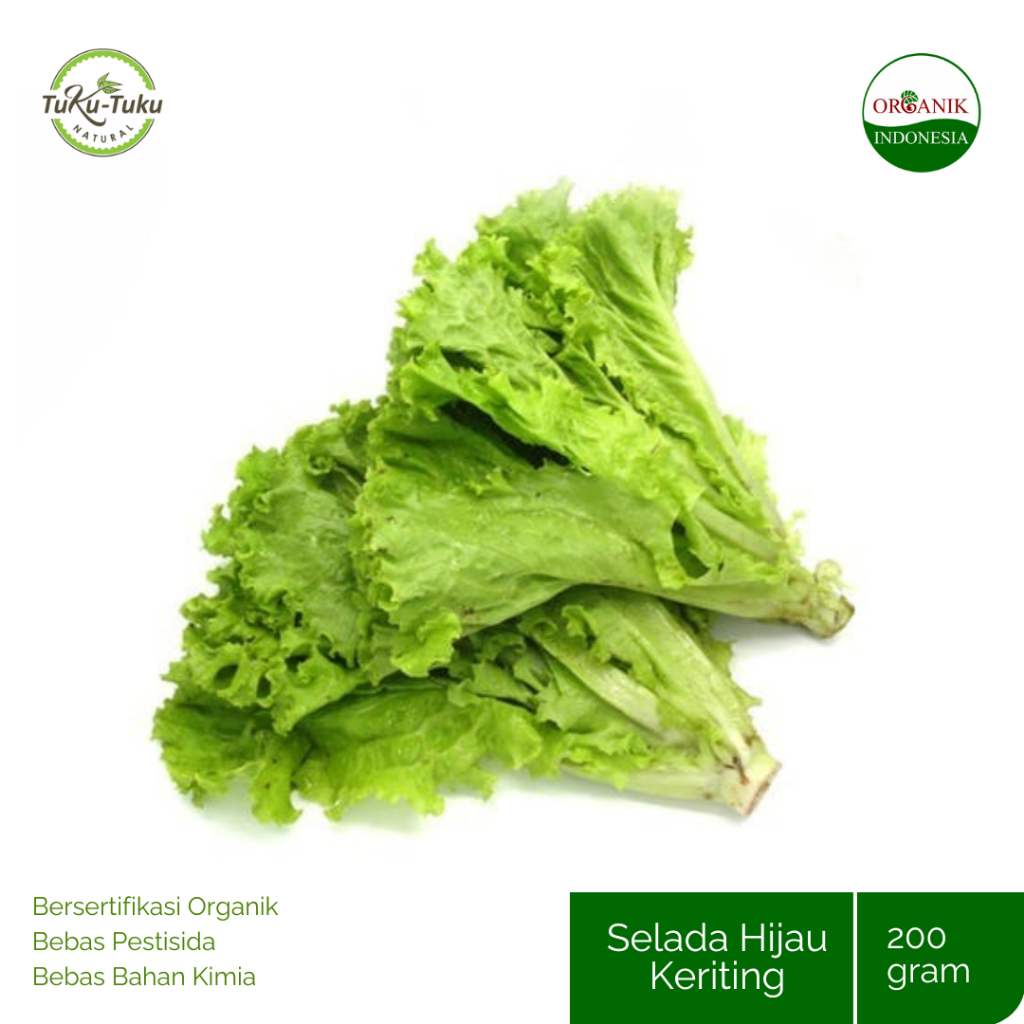 

PAY 2 GET 3 SELADA KERITING HIJAU ORGANIK BSP FARM 200GR