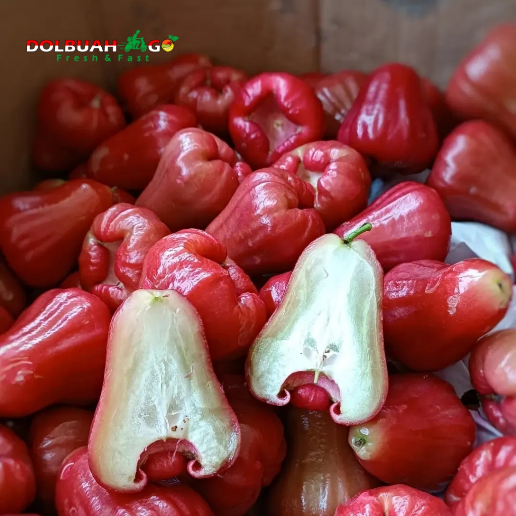 

Jambu Air Citra Manis Fresh Berkualitas Premium - Dolbuah