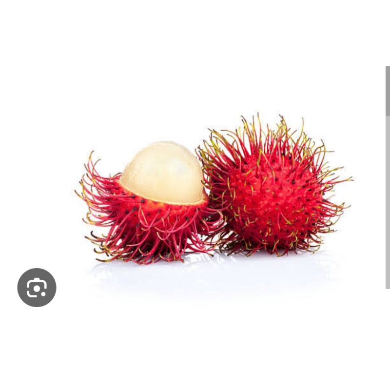 

Rambutan Ace Manis Asam Segar Buat Yang Nyidam buat nambah daya imun Cocok