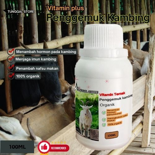 Vitamin Penggemuk Kambing,serta menambah nafsu makan / Obat Penggemuk Kambing Dan Nafsu Makan / Peng