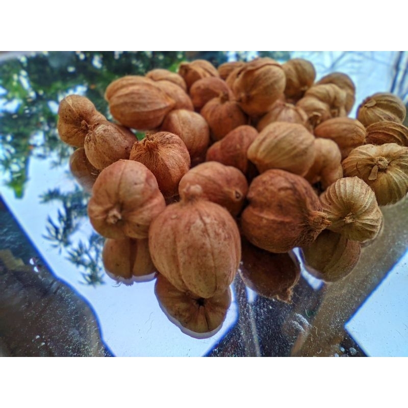 

Kapulaga kering 100g