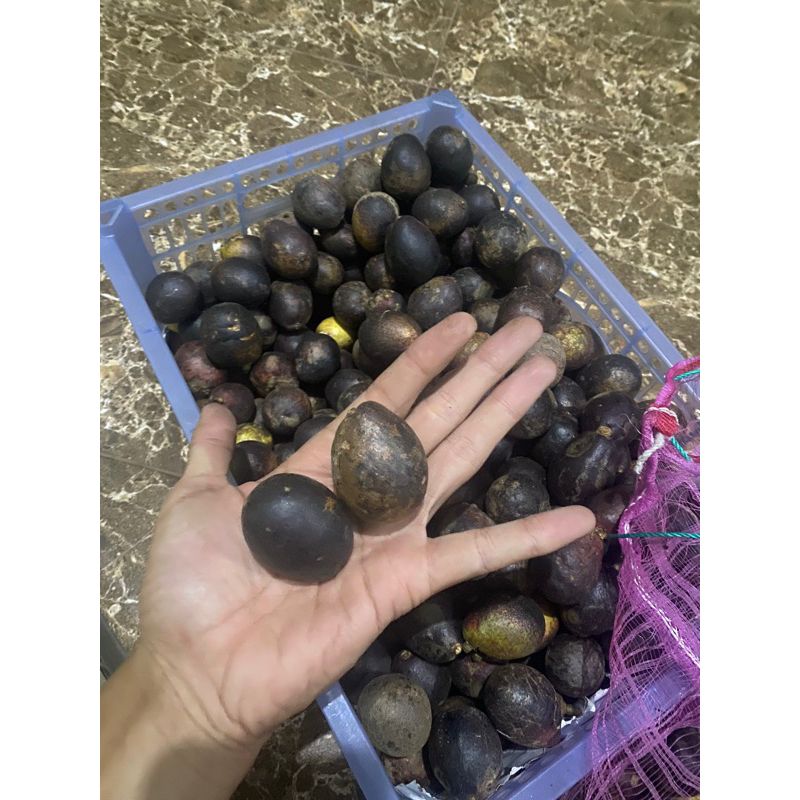 

BUAH MATOA LOKAL MERAH PATI//MATOAPATI 1 kg