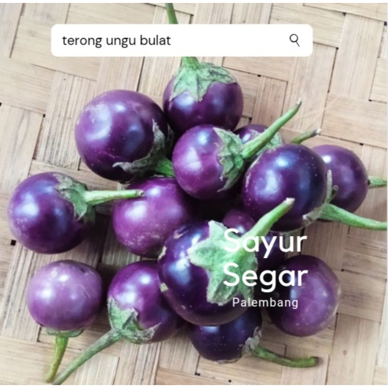 

Terong Ungu Bulat 250 gr Sayur Segar Palembang