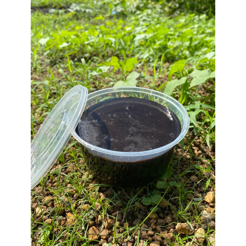 Bedda Lotong Bugis Malebbi (BPOM) 450Ml