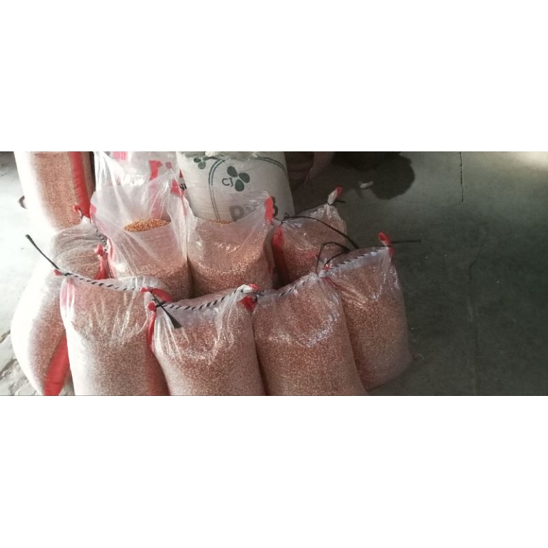 Jagung Kristal Merpati 25kg/Jagunh Murah