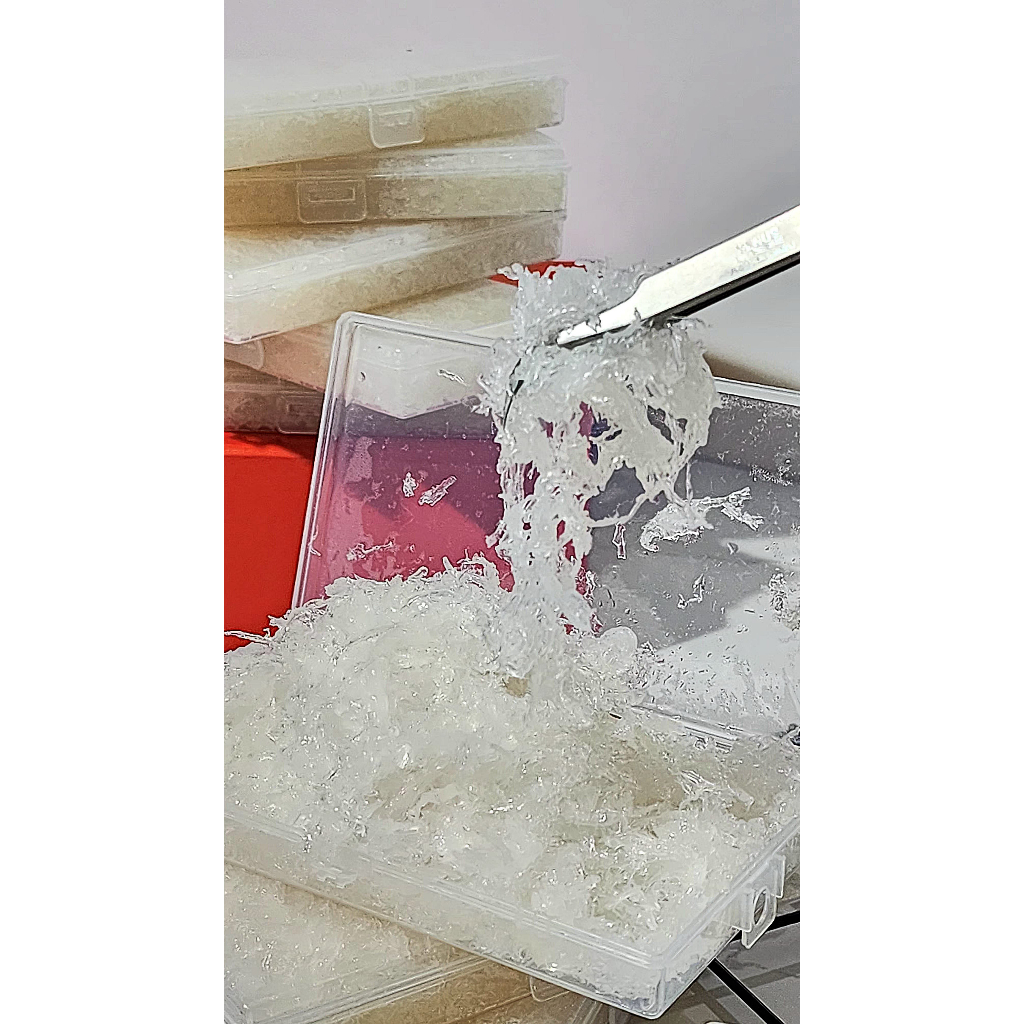 

Ay00! Sarang Burung Walet Bersih Beku / Frozen Bird's Nest Grade A