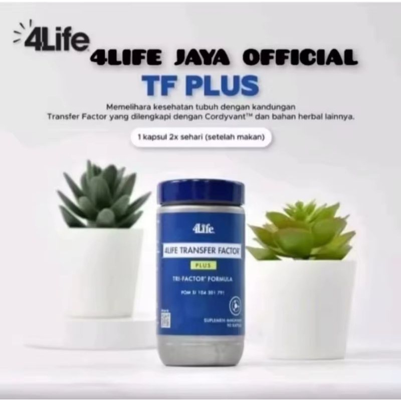 4life transfer factor plus TF Tri-Factor Formula kucing pet anjing 1 botol