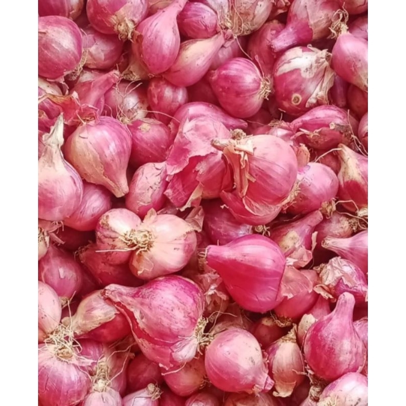 

Bawang Merah isi 500 gram