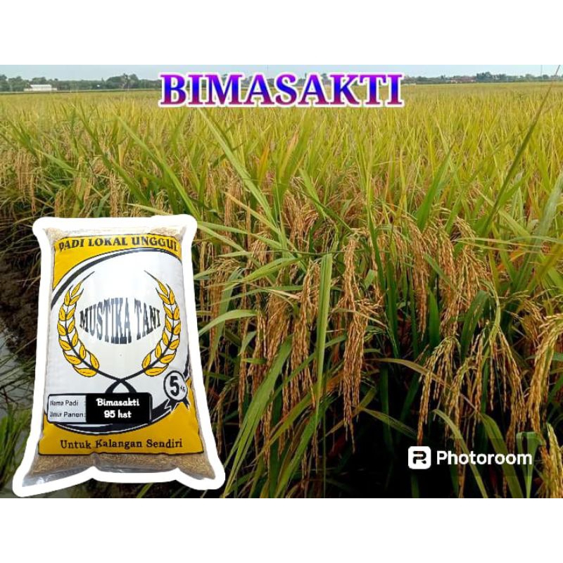 benih padi Bima sakti 5kg
