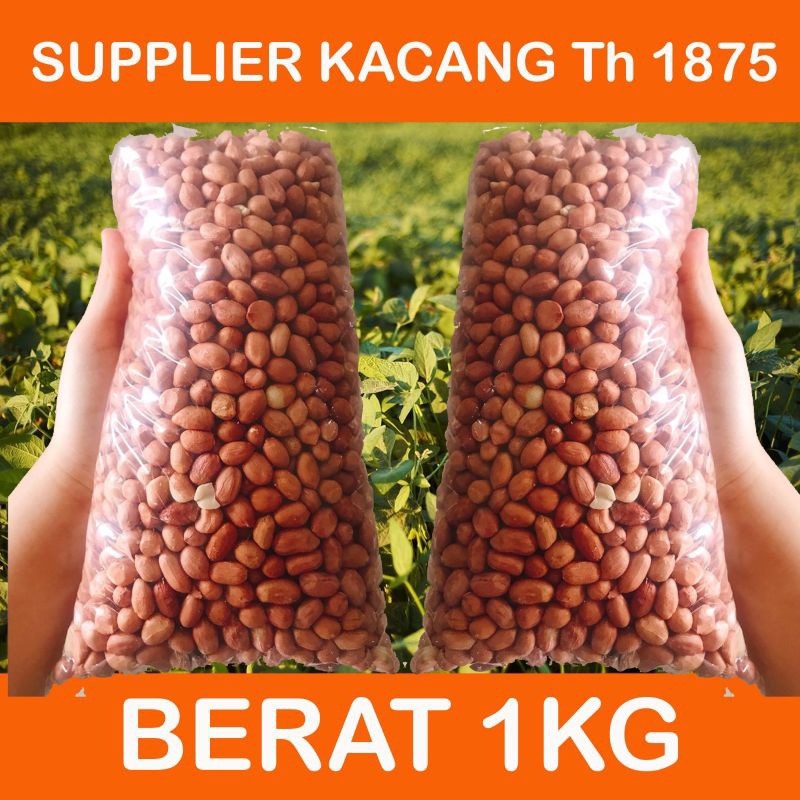 

KACANG TANAH / KUPAS / OSE / SAMBAL