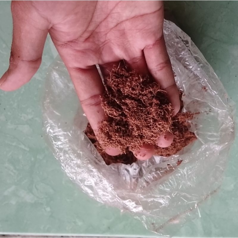 

【LIMITED】READY BUBUK ABON LENGKUAS GURIH KERING 100% ORIGINAL SIAP SAJI HANYA PERLU DIGORENG COCOK UNTUK PENDAMPING MAKANAN BERAT ATAUPUN DAPAT DIJADIKAN TOPING UNTUK MAKANAN LAINNYA