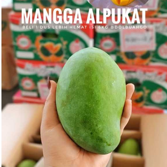 

Mangga Manis Premium Organik Segar Berkualitas - Dolbuah