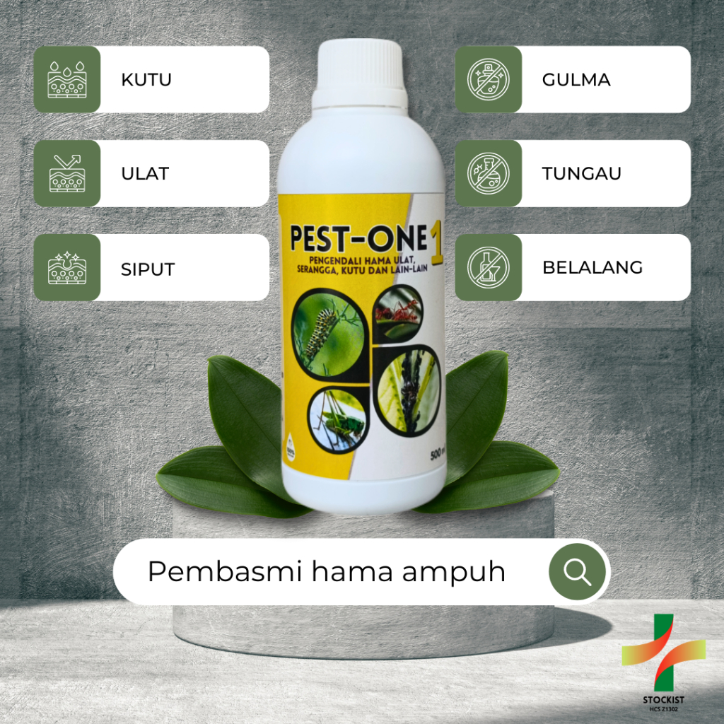 Pestisida Organik untuk semua Tanaman | Pestisida Nabati untuk Cabe | Pembasmi Hama Tanaman Cabe