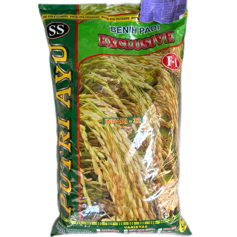 BENIH BIBIT PADI VARIETAS INPARI-32 EXCLUSIVE PUTRI AYU 50 KG ISI 10 BUNGKUS BERSERTIFIKAT