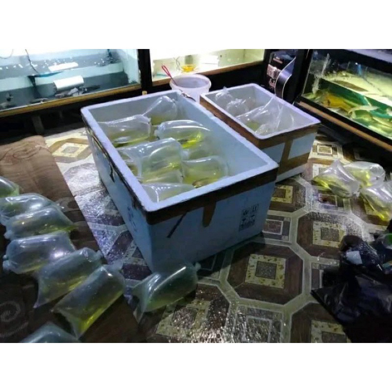 

KARDUS GARANSl DISINI