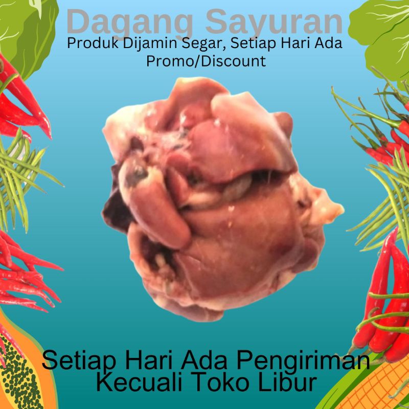 

ATI AMPELA AYAM SEGAR 3 PASANG