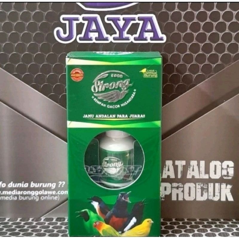 Ebod strong Ebod jaya penggacor burung berkicau original