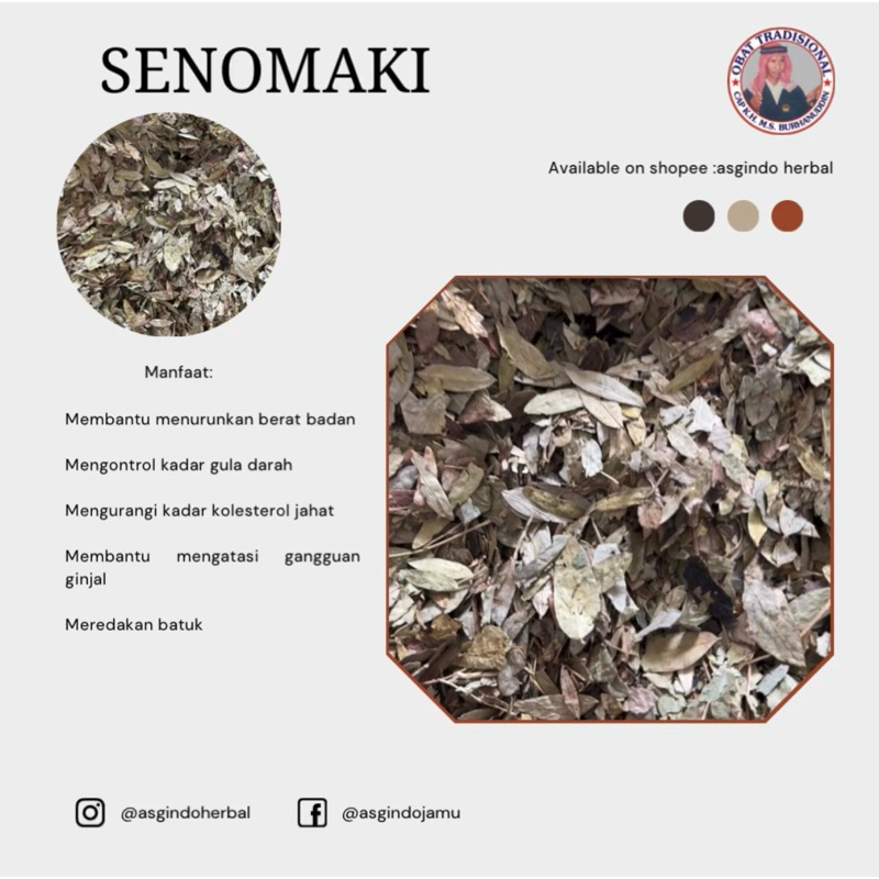 

SENOMAKI / JATI BELANDA