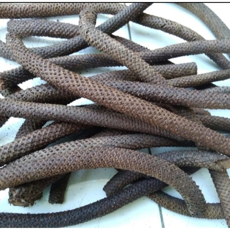 

Kayu Lan4ng Kayu Wol0 Asli Murni Herbal