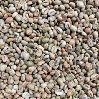 

GREEN BEAN / KOPI MENTAH FINE ROBUSTA PUPUAN TABANAN BALI - 1 KG