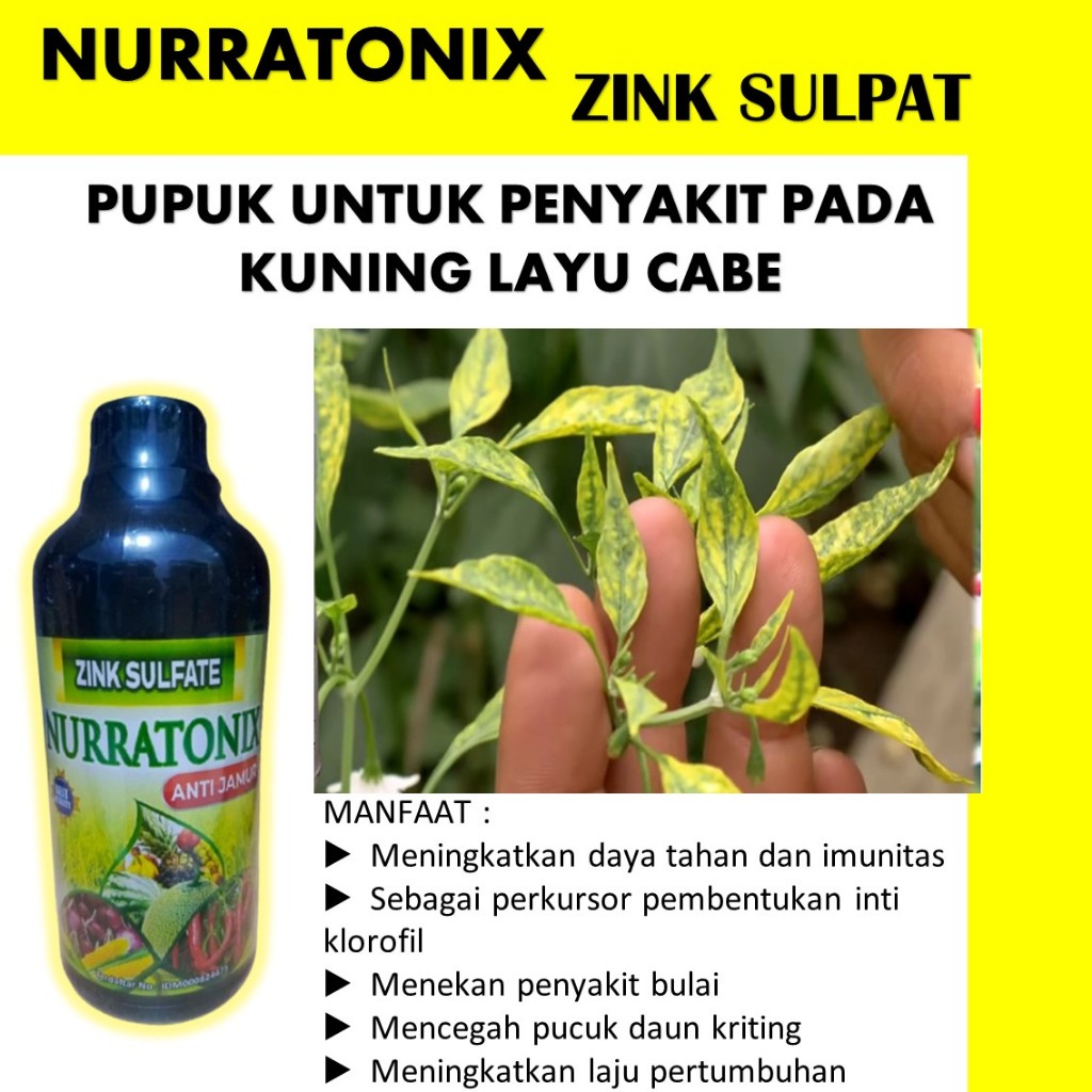 PROMO ZINK NURRATONX Fungisida Hama Virus Kuning/Gemini cabe rawit/cabe merah , Pupuk Organik Hama V