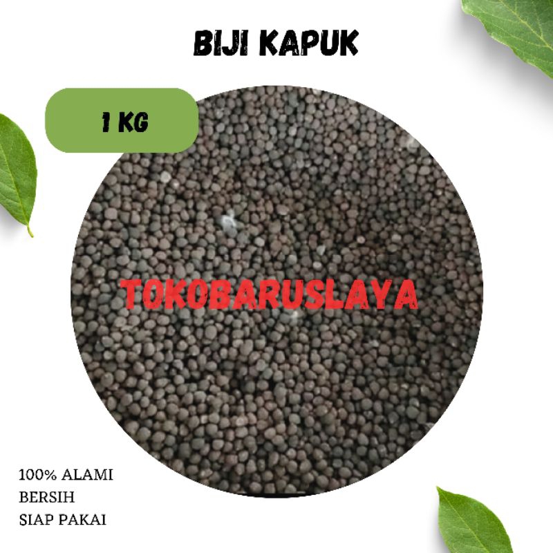 

1 KILOGRAM BIJI KAPUK RANDU KLENTENG ORIGINAL