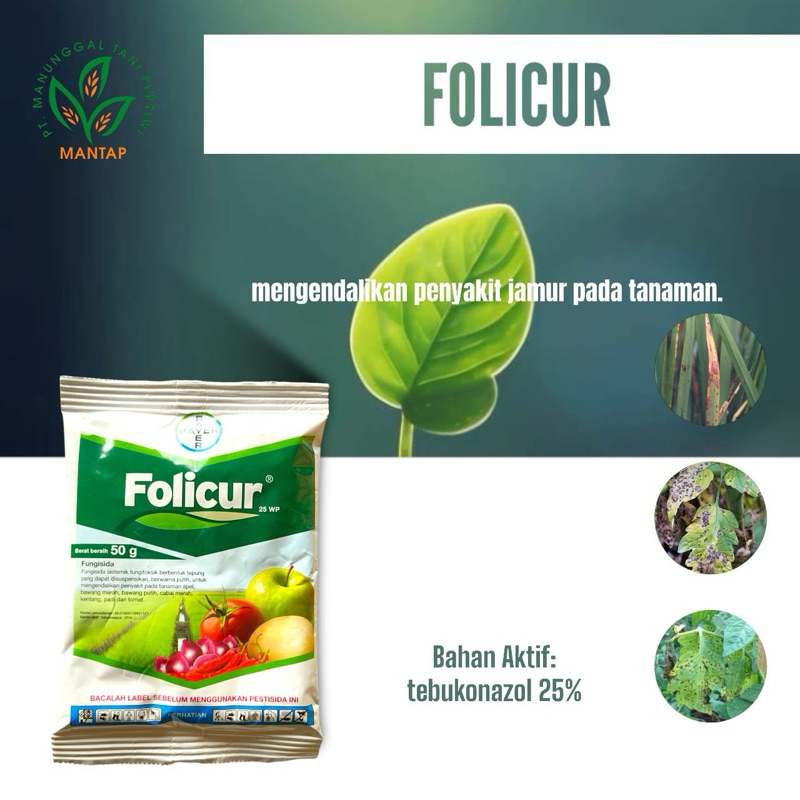 FOLICUR 25 WP 50 gr (Tebukonazol 25%)