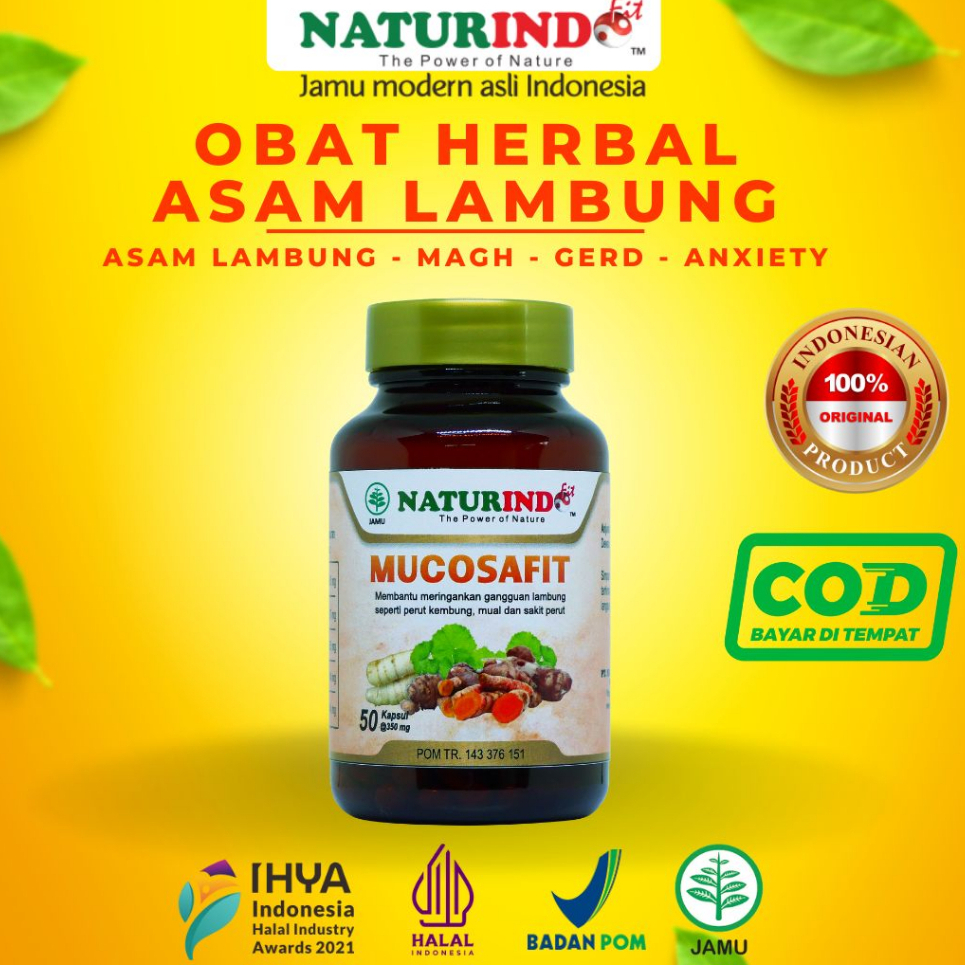 Obat Asam Lambung Gerd Maag Kronis Usus Buntu Herbal Mucosafit Naturindo