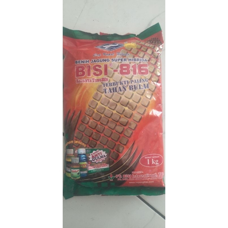BENIH JAGUNG SUPER HIBRIDA BISI 816 RAJANYA TONGBES