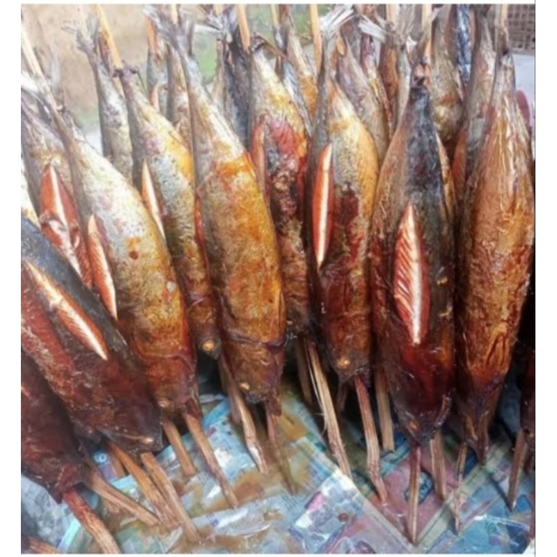 

IKAN TONGKOL ASAP/PANGGANG ASLI DEMAK