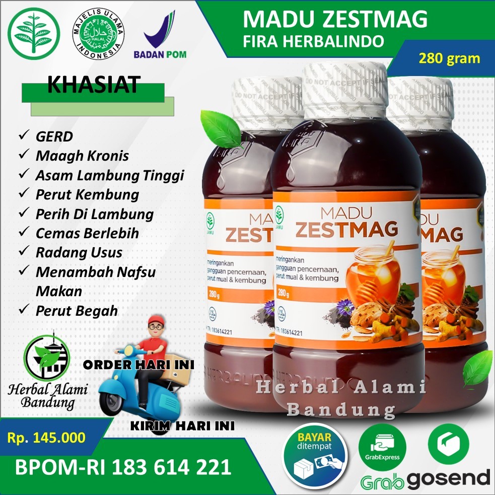 Madu Zestmag Asli Original 100% Obat Asam Lambung Madu Zetmag Madu Lambung