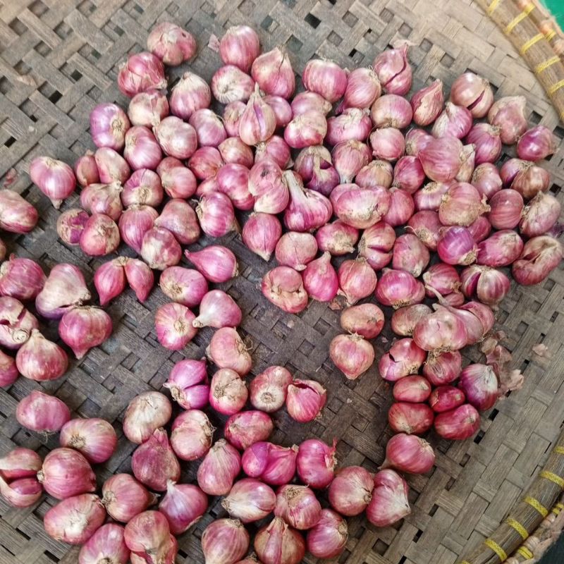 

BAWANGMERAHASLIBREBES