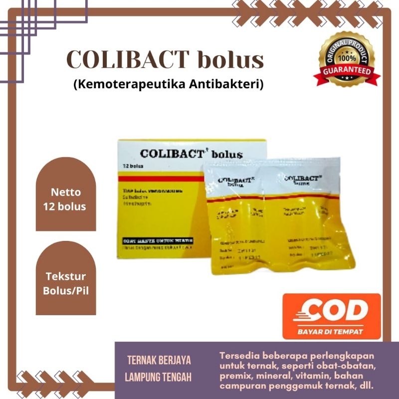 Colibact bolus /harga perbolus