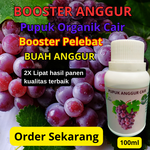 Pupuk Anggur | Pupuk Booster Pemacu Penyubur Pelebat Buah Anggur | Pupuk Organik Cair Khusus Anggur