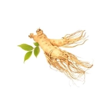 

Ginseng Korea Merah/ungu /1pcs khusus customer