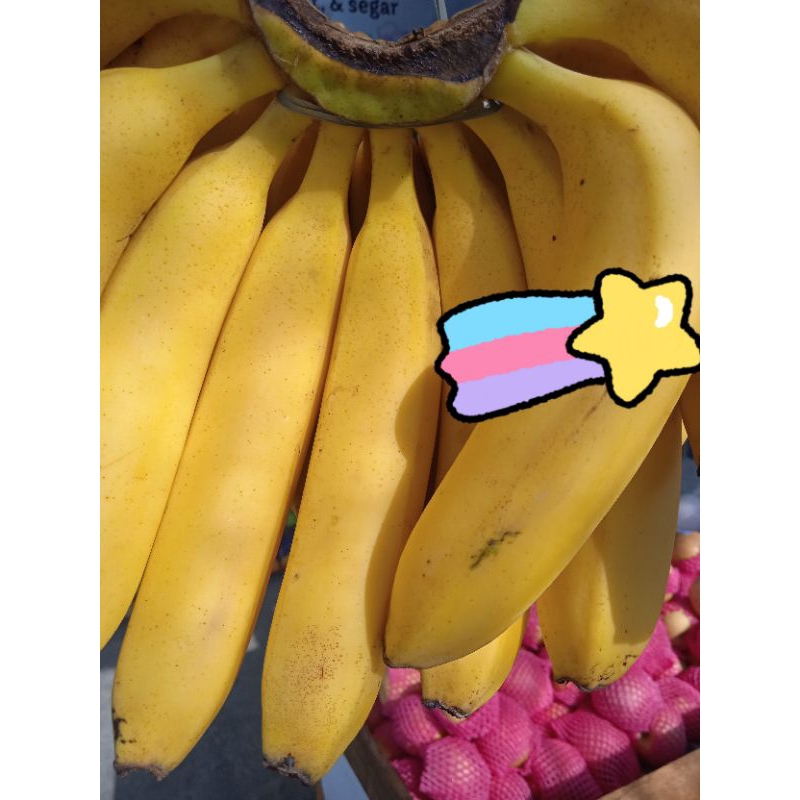 

Pisang Sunprides / Kg