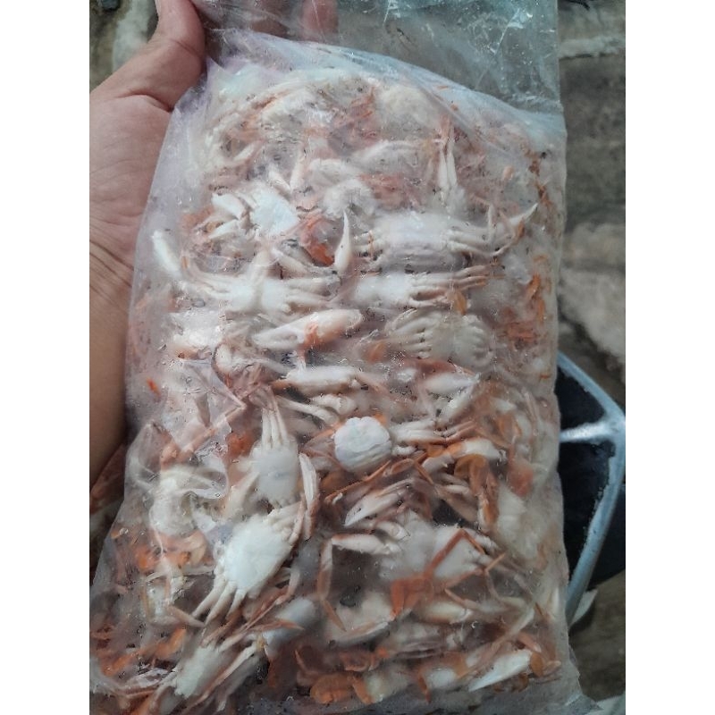 

baby crab