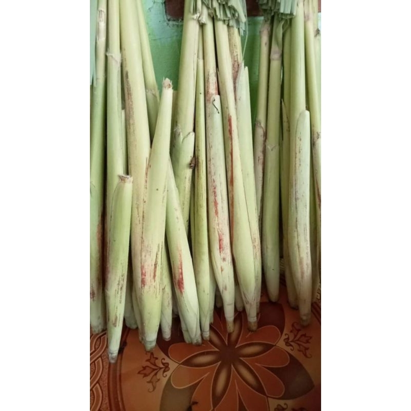

turubuk sayur 1kg isi 10 biji