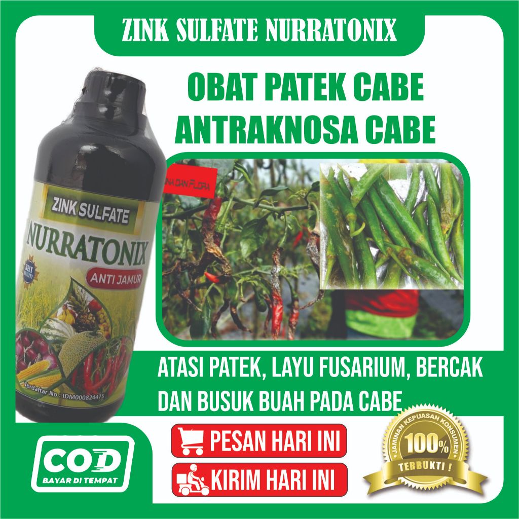 Obat Pembasmi Hama Daun Cabe Rawit Paling Ampuh - ZINK NURRATONIX Obat Patek Cabe Busuk Cabe, Obat H