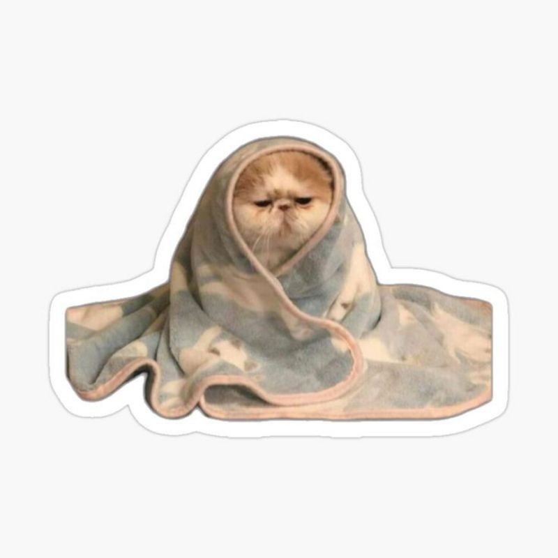 sticker aesthetic/sticker tumblr/sticker premium/sticker hp/sticker laptop/sticker helm/ sticker mot