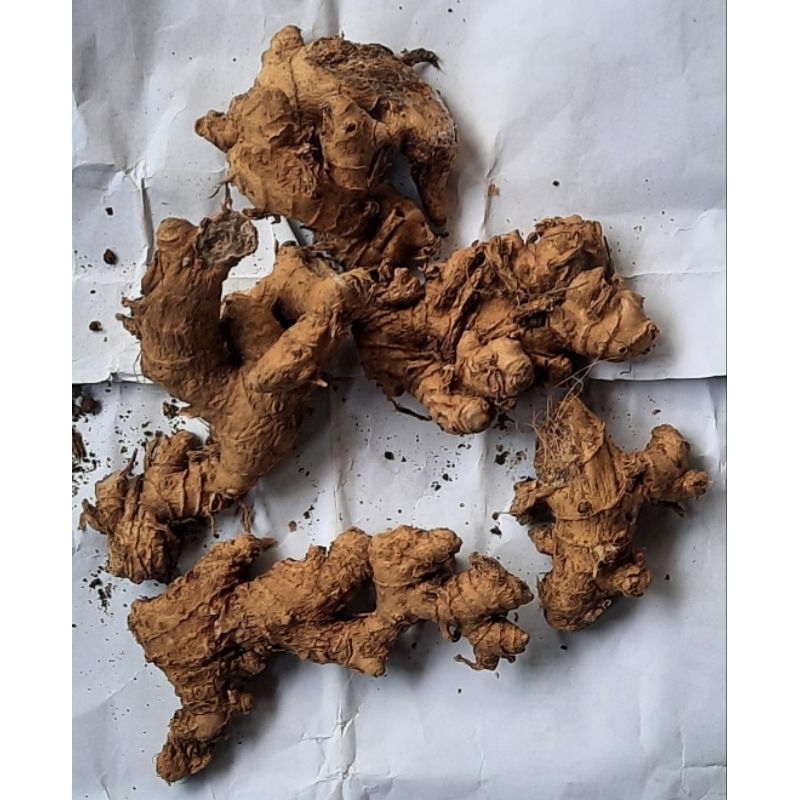 

lempuyang ( 0.5 ons / 50 gram )