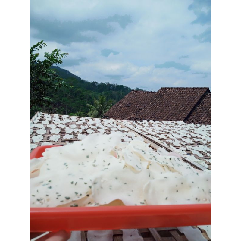 

Opak ilat kucai/lidah opak getuk khas wonosobo(mentah) 1kg
