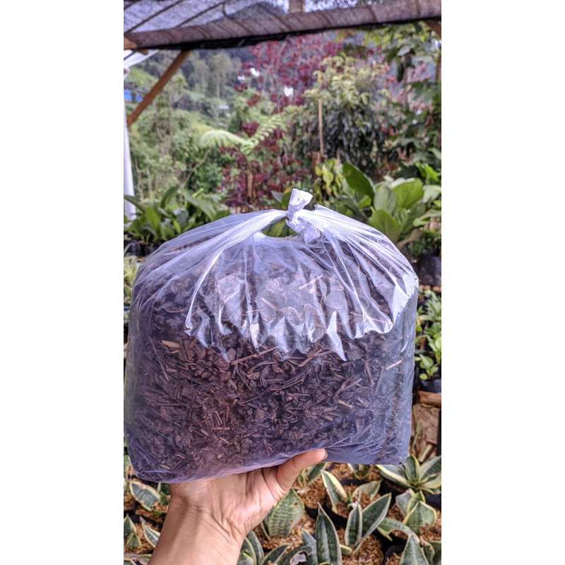 

Petani Muda - Teh Hitam Pekat (500g) Asli Kemuning Karanganyar