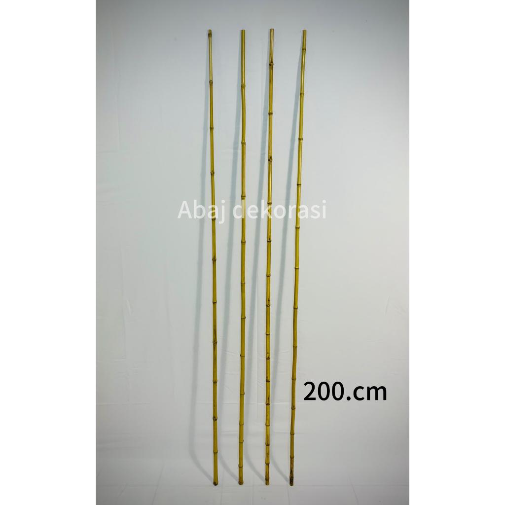 (1PCS) Batang Bambu 2M diameter kecil/Bambu Partisi Bambu kuning Cendani/Bambu Hiasan Dekorasi Rumah